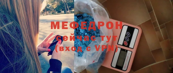 стаф Верея